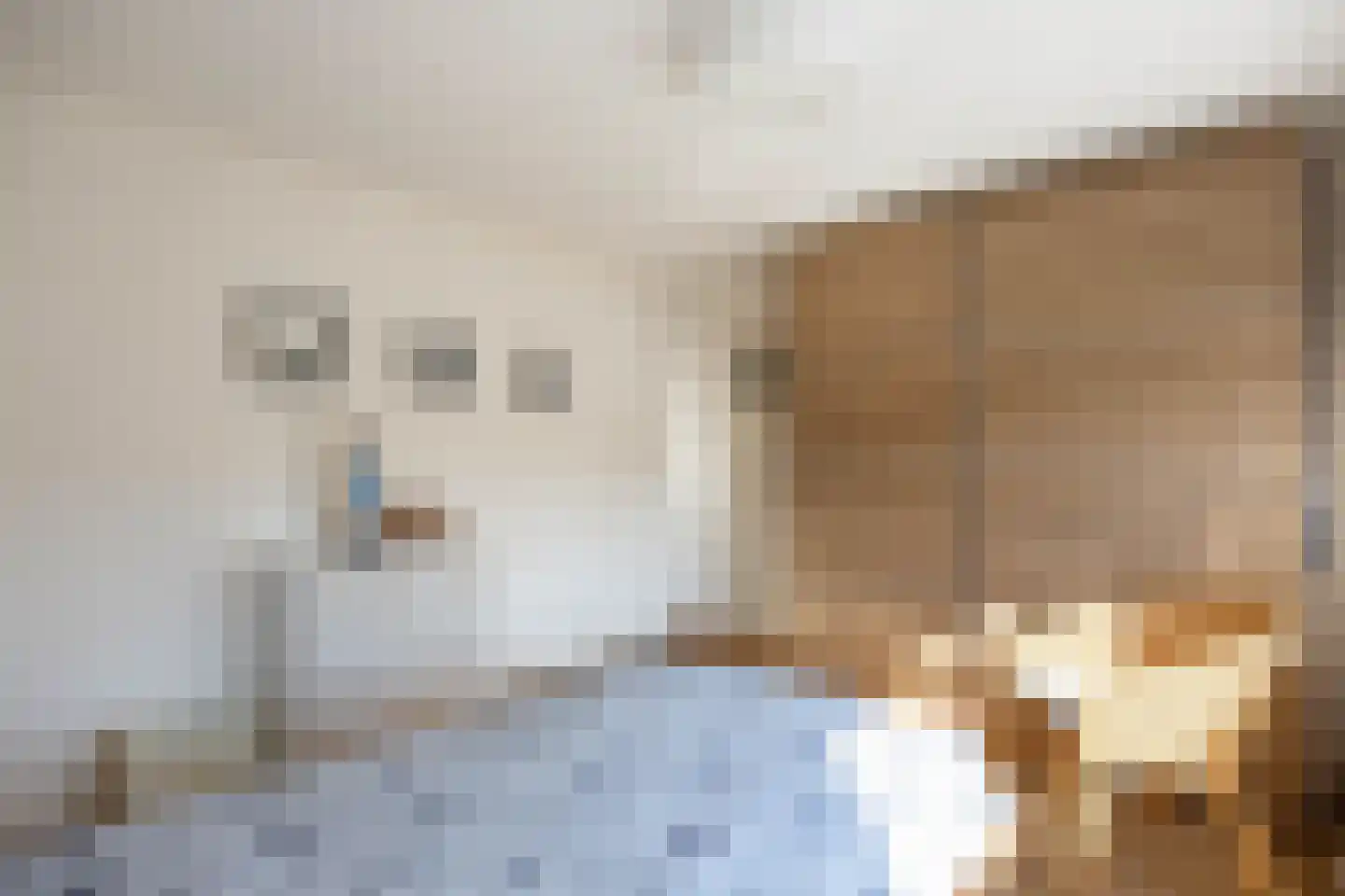 G D Swanenburg de Veijestraat 10 Franeker thumbnail 45