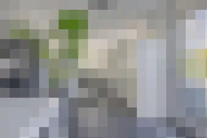 G. de Pagterstraat 1 Middelburg thumbnail 17