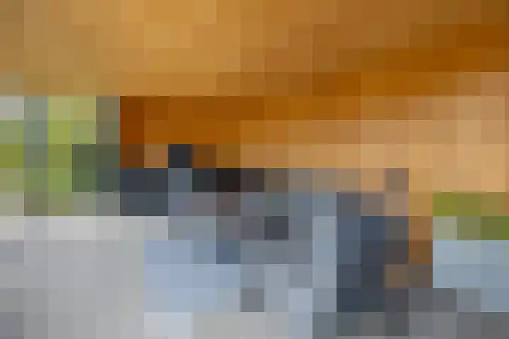 G. de Pagterstraat 1 Middelburg thumbnail 27