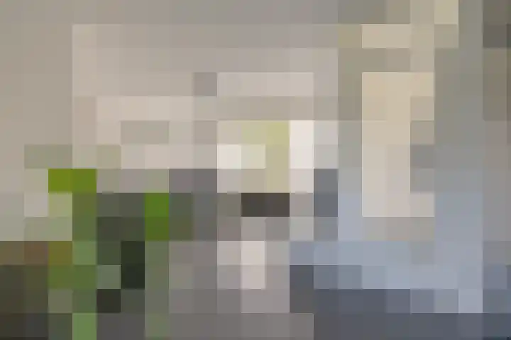 G. de Pagterstraat 1 Middelburg thumbnail 9