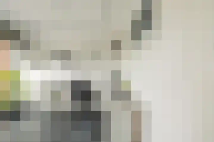 G. de Pagterstraat 11 Middelburg thumbnail 39