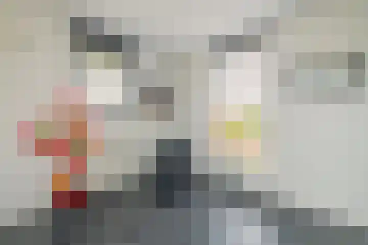 G. de Pagterstraat 11 Middelburg thumbnail 44