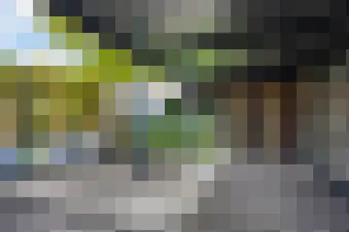 G.E.C. Ribbiuslaan 4 Rhoon thumbnail 29