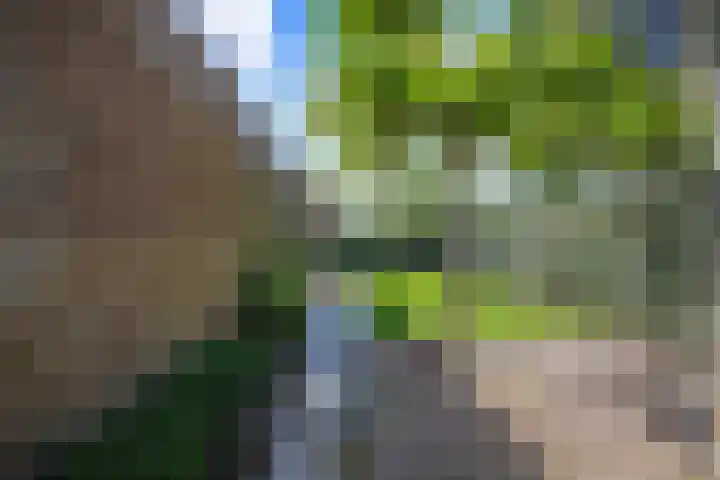 G.E.C. Ribbiuslaan 4 Rhoon thumbnail 32