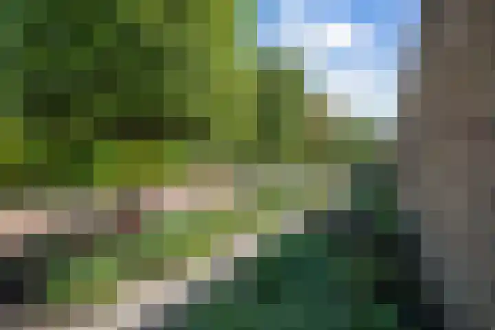 G.E.C. Ribbiuslaan 4 Rhoon thumbnail 33