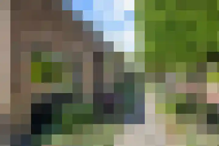 G.E.C. Ribbiuslaan 4 Rhoon thumbnail 34