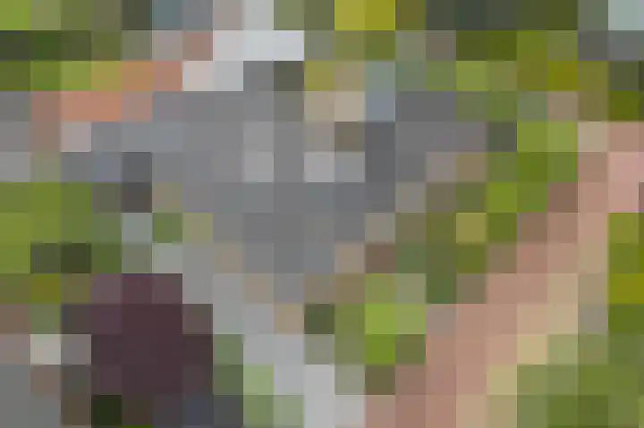 G.E.C. Ribbiuslaan 4 Rhoon thumbnail 35