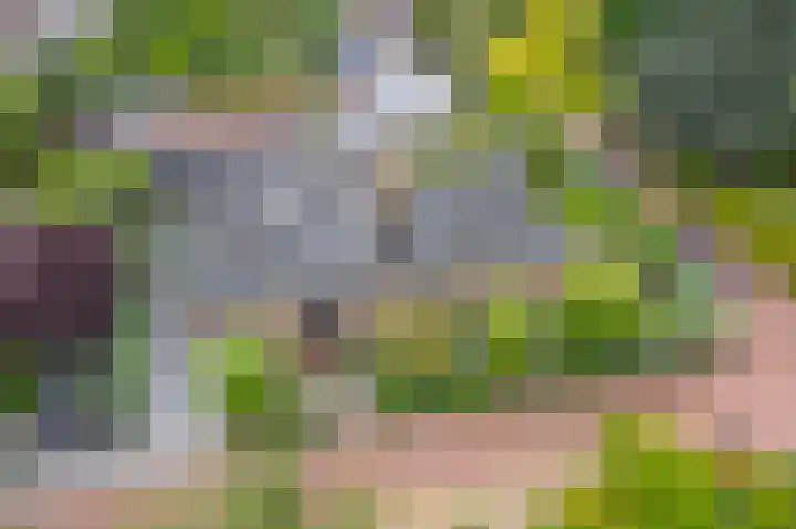 G.E.C. Ribbiuslaan 4 Rhoon thumbnail 36