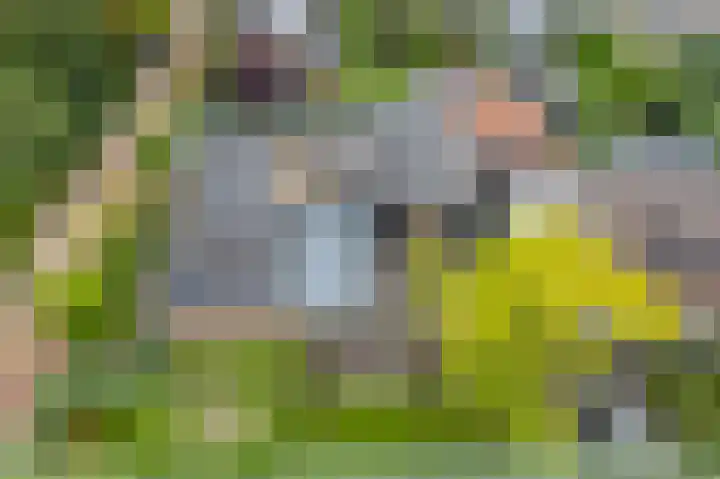 G.E.C. Ribbiuslaan 4 Rhoon thumbnail 37