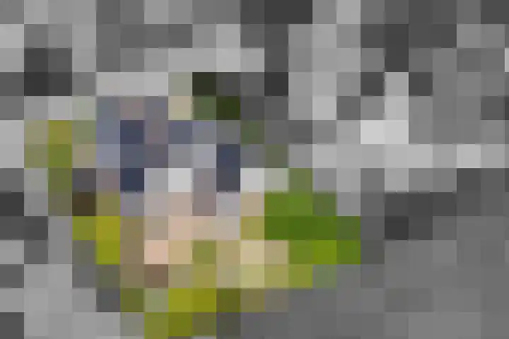 G.F.Vosstraat 18 Oldeholtpade thumbnail 4