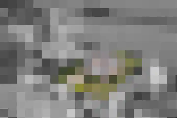 G.F.Vosstraat 18 Oldeholtpade thumbnail 6