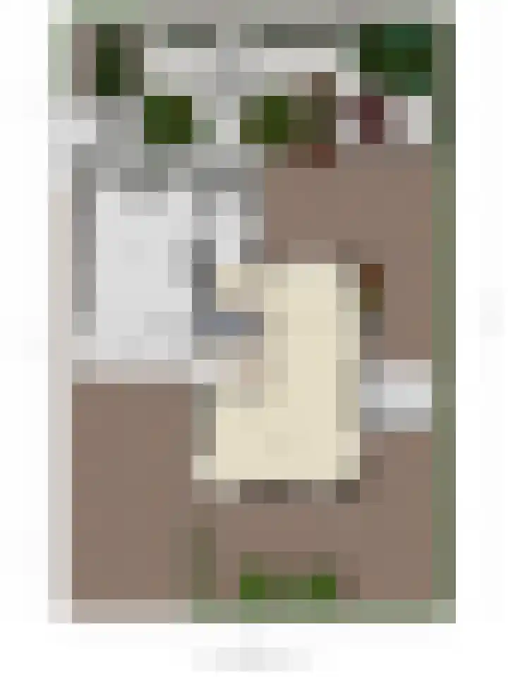 G.F.Vosstraat 18 Oldeholtpade thumbnail 69