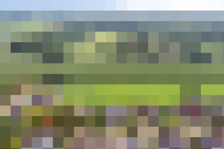 G.F.Vosstraat 18 Oldeholtpade thumbnail 7