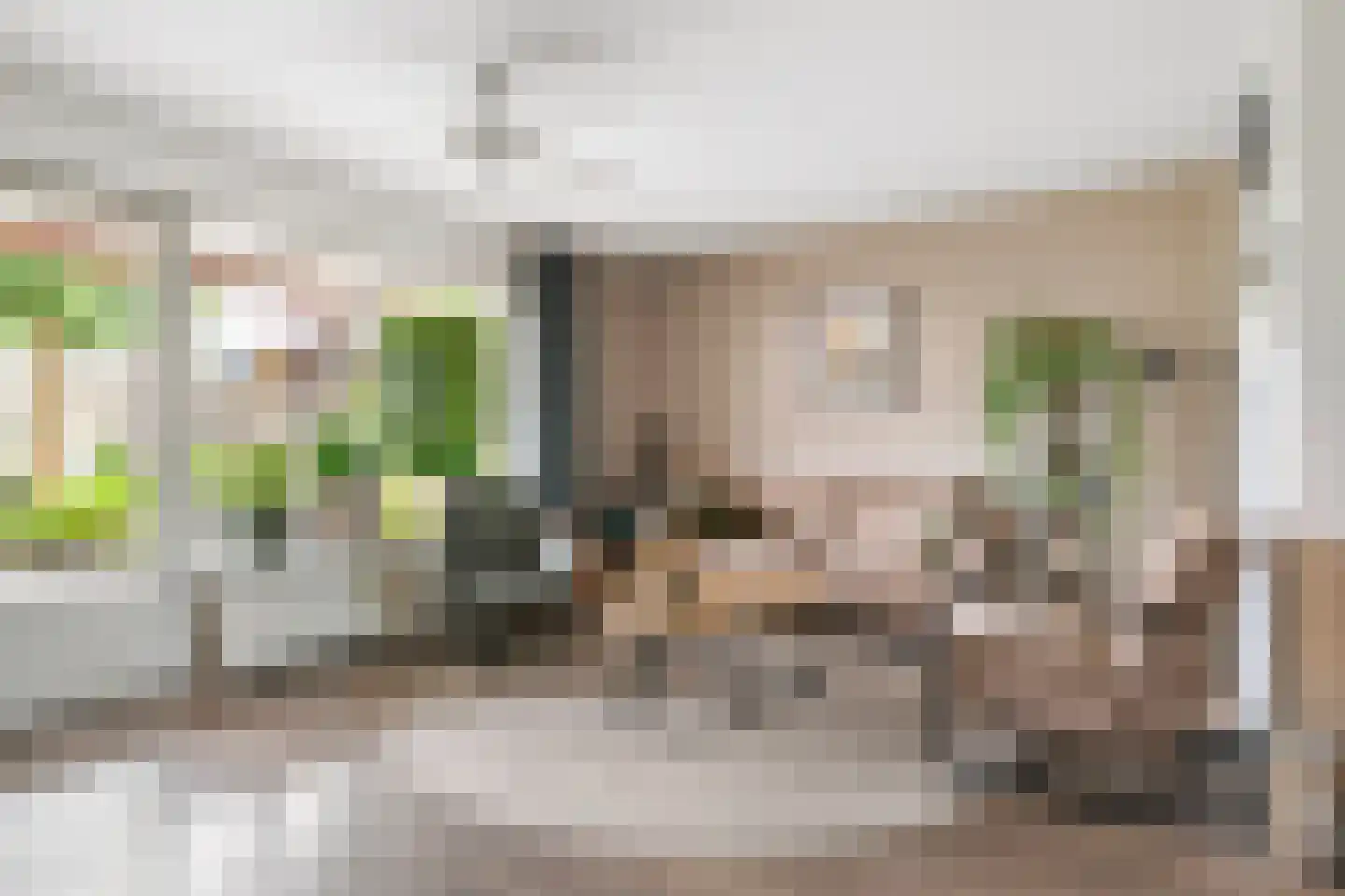 G. Griselstraat 12 Tiel thumbnail 10