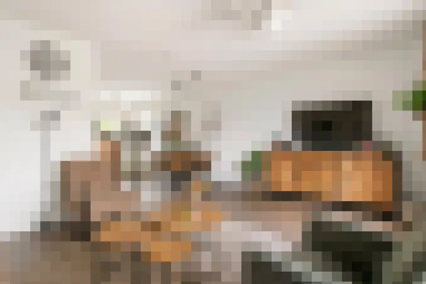 G. Griselstraat 12 Tiel thumbnail 13