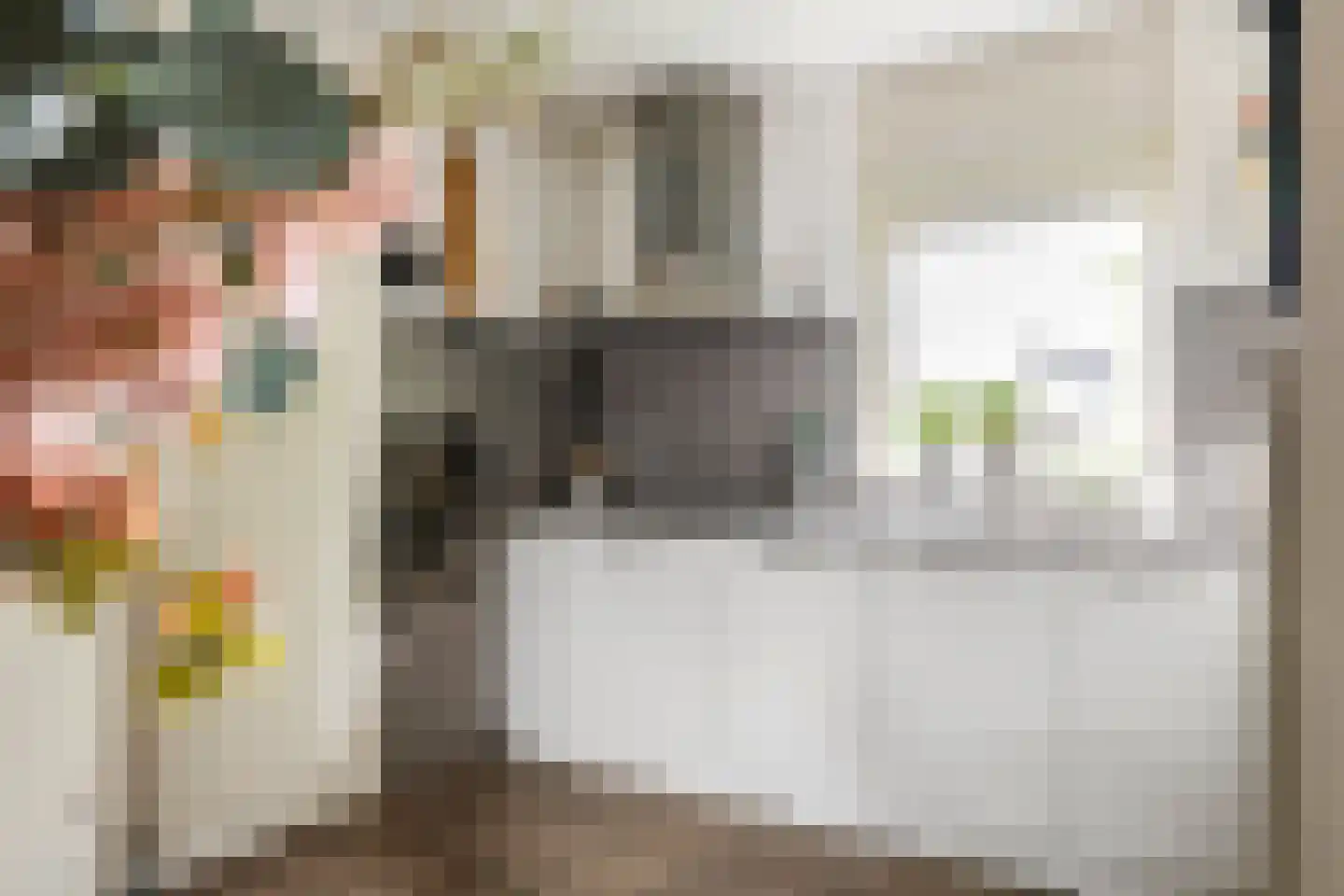 G. Griselstraat 12 Tiel thumbnail 15