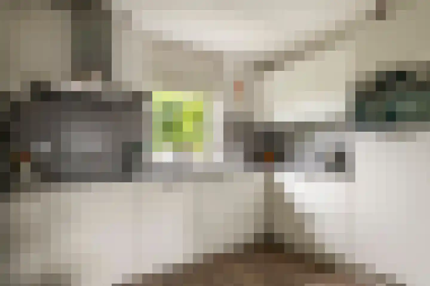 G. Griselstraat 12 Tiel thumbnail 17