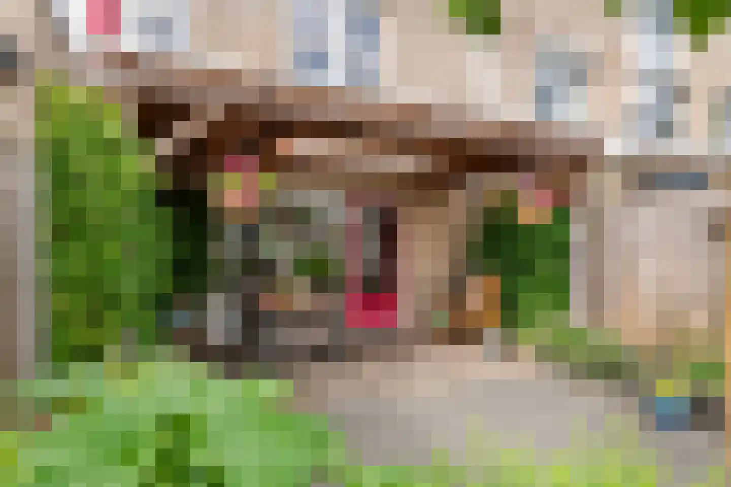 G. Griselstraat 12 Tiel thumbnail 18