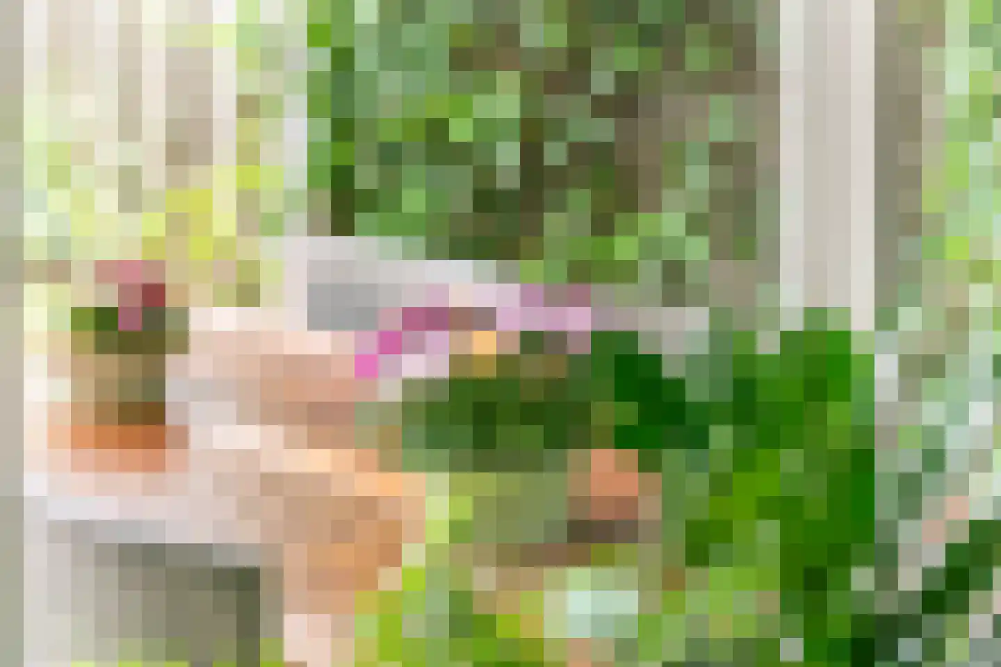 G. Griselstraat 12 Tiel thumbnail 21