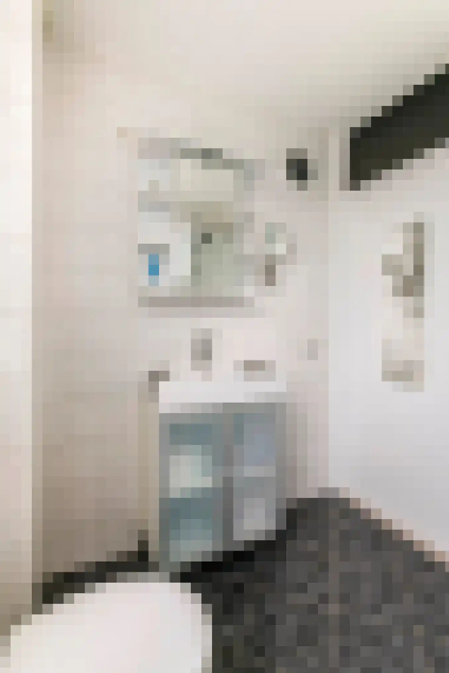 G. Griselstraat 12 Tiel thumbnail 33
