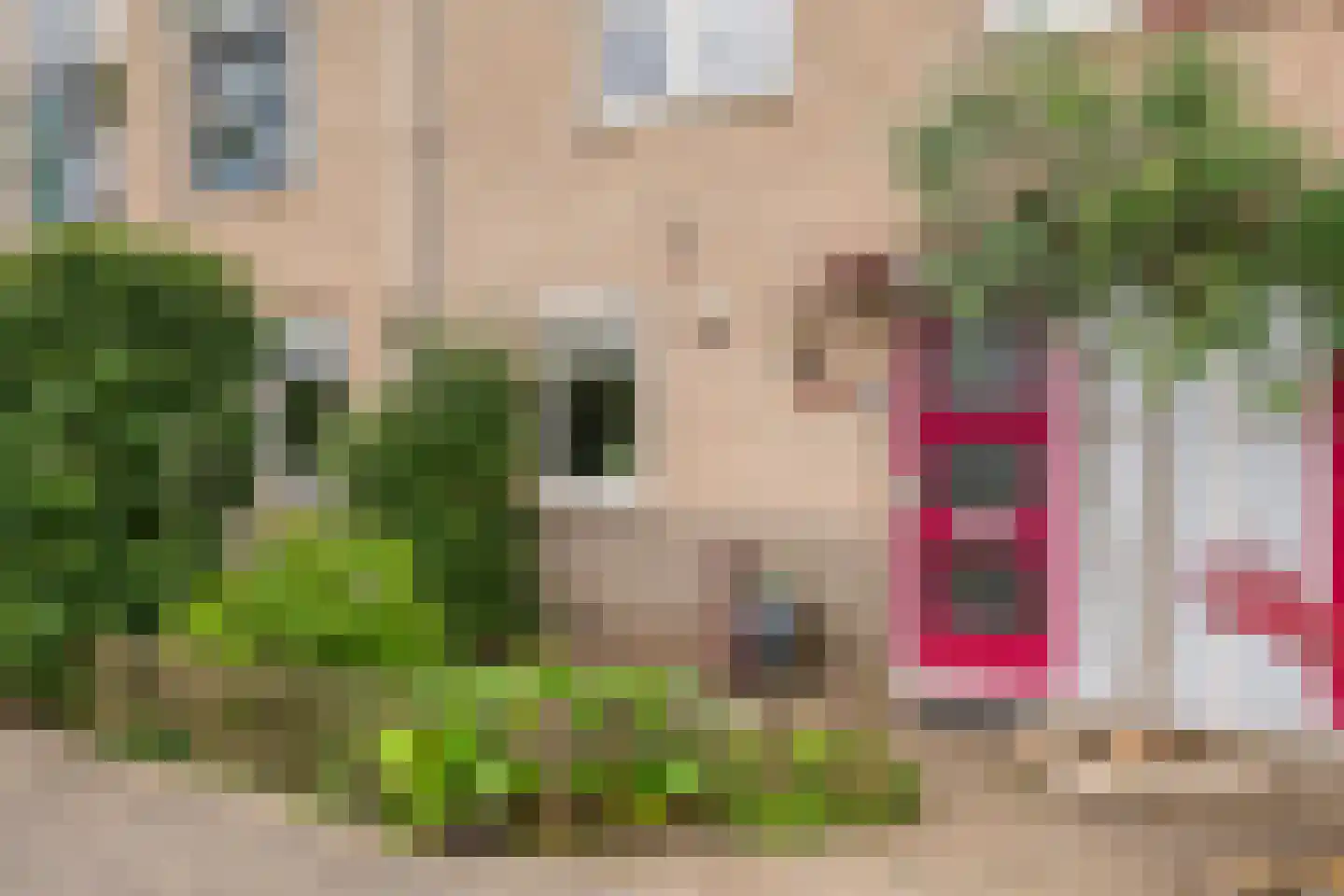 G. Griselstraat 12 Tiel thumbnail 6