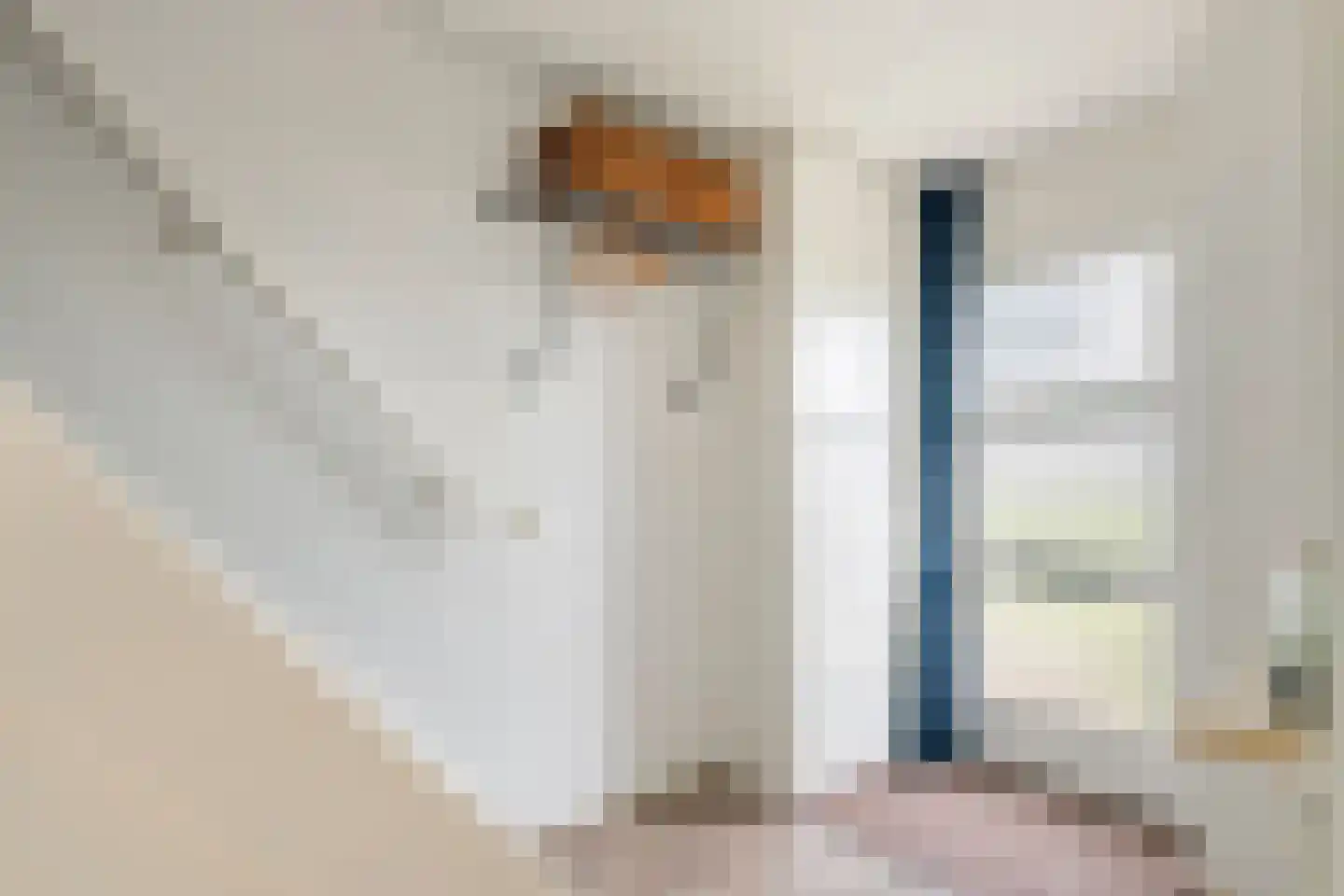G. Griselstraat 12 Tiel thumbnail 7
