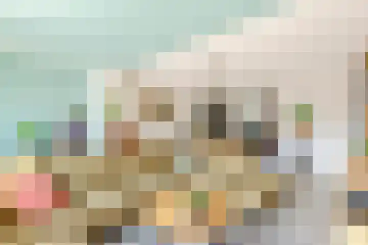 G. Griselstraat 14 Tiel thumbnail 11