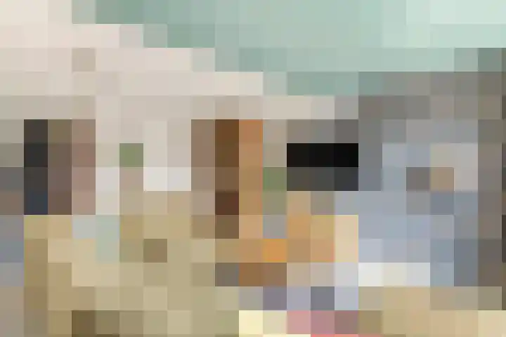 G. Griselstraat 14 Tiel thumbnail 12