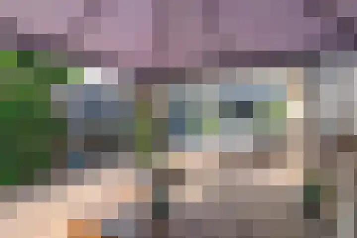 G. Griselstraat 14 Tiel thumbnail 21