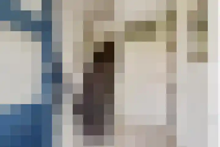 G. Griselstraat 14 Tiel thumbnail 23