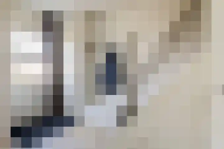 G. Griselstraat 14 Tiel thumbnail 25