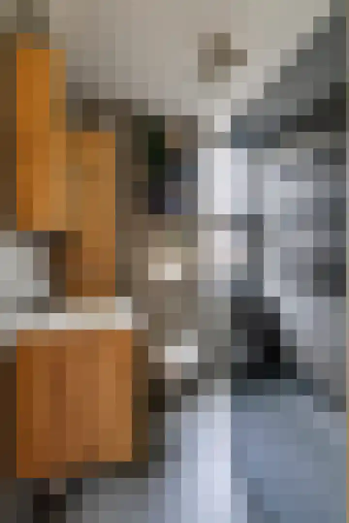 G. Griselstraat 14 Tiel thumbnail 31