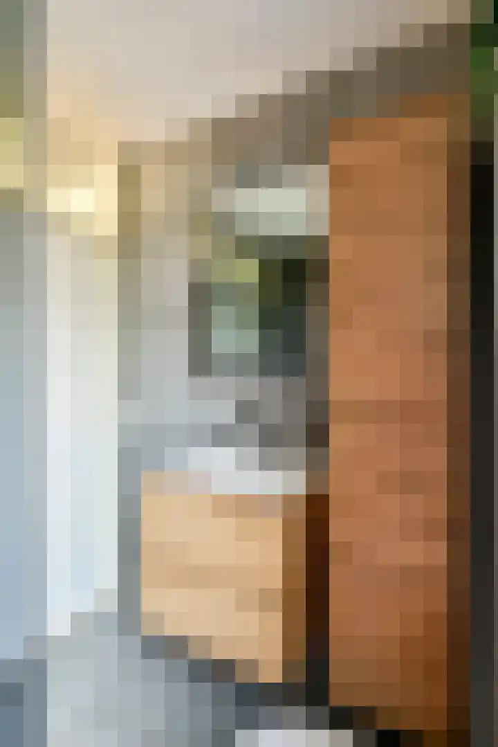 G. Griselstraat 14 Tiel thumbnail 33