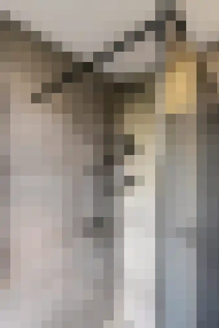 G. Griselstraat 14 Tiel thumbnail 34