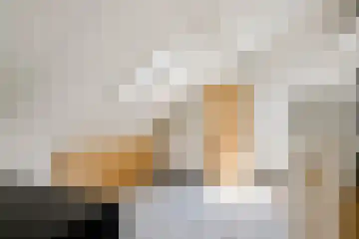 G. Griselstraat 14 Tiel thumbnail 38