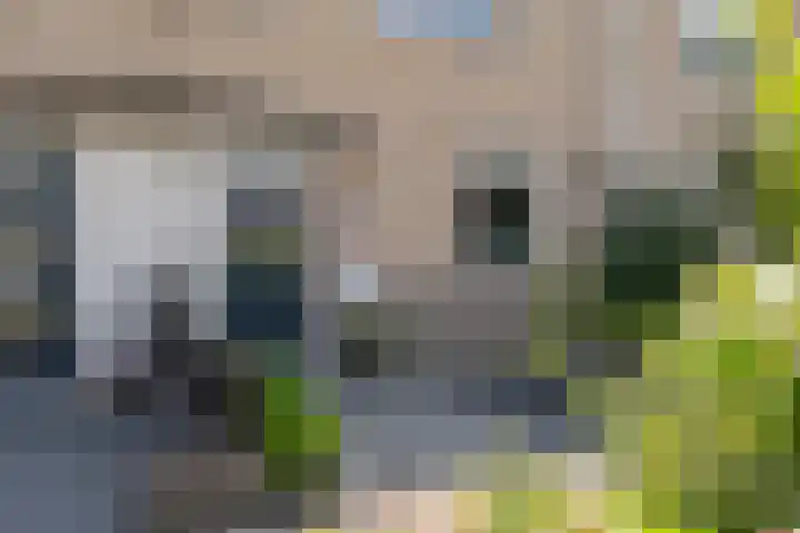 G. Griselstraat 14 Tiel thumbnail 8