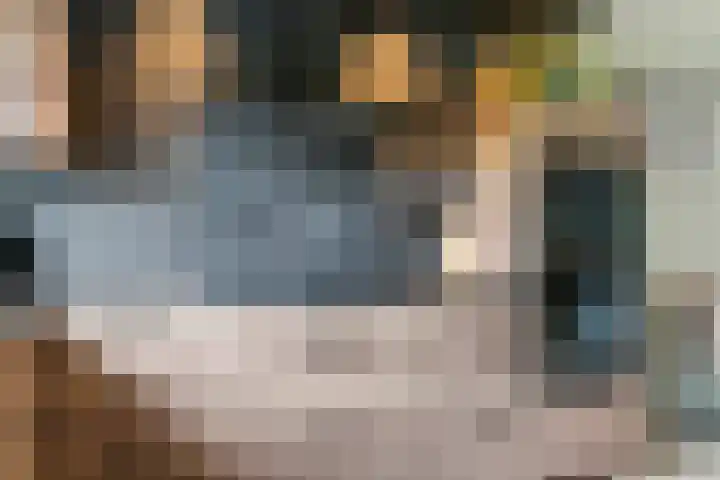 G. Griselstraat 16 Tiel thumbnail 22