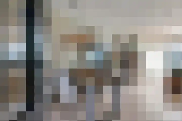 G. Griselstraat 16 Tiel thumbnail 26