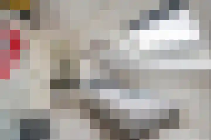 G. Griselstraat 16 Tiel thumbnail 41