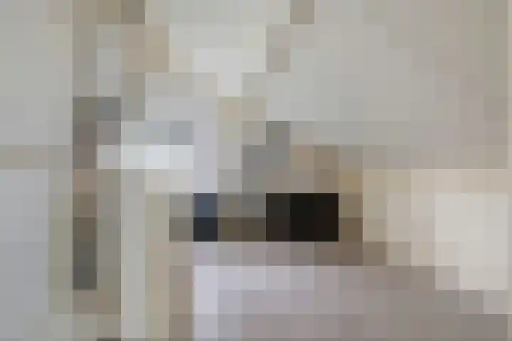 G. Griselstraat 16 Tiel thumbnail 42