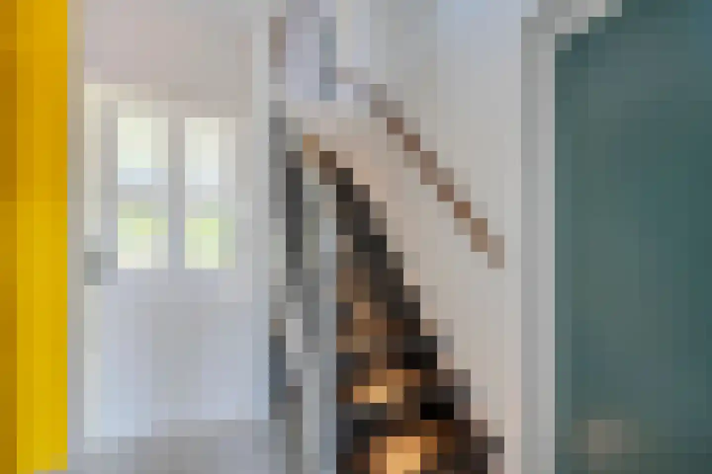 G.H.A.de Zeeuwstraat 19 Alkmaar thumbnail 10