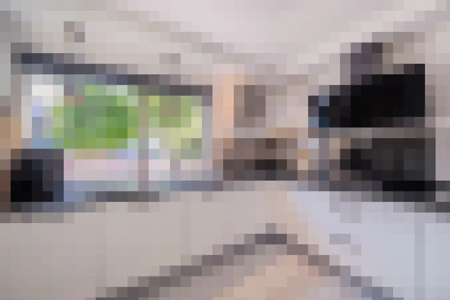 G.H.A.de Zeeuwstraat 19 Alkmaar thumbnail 20