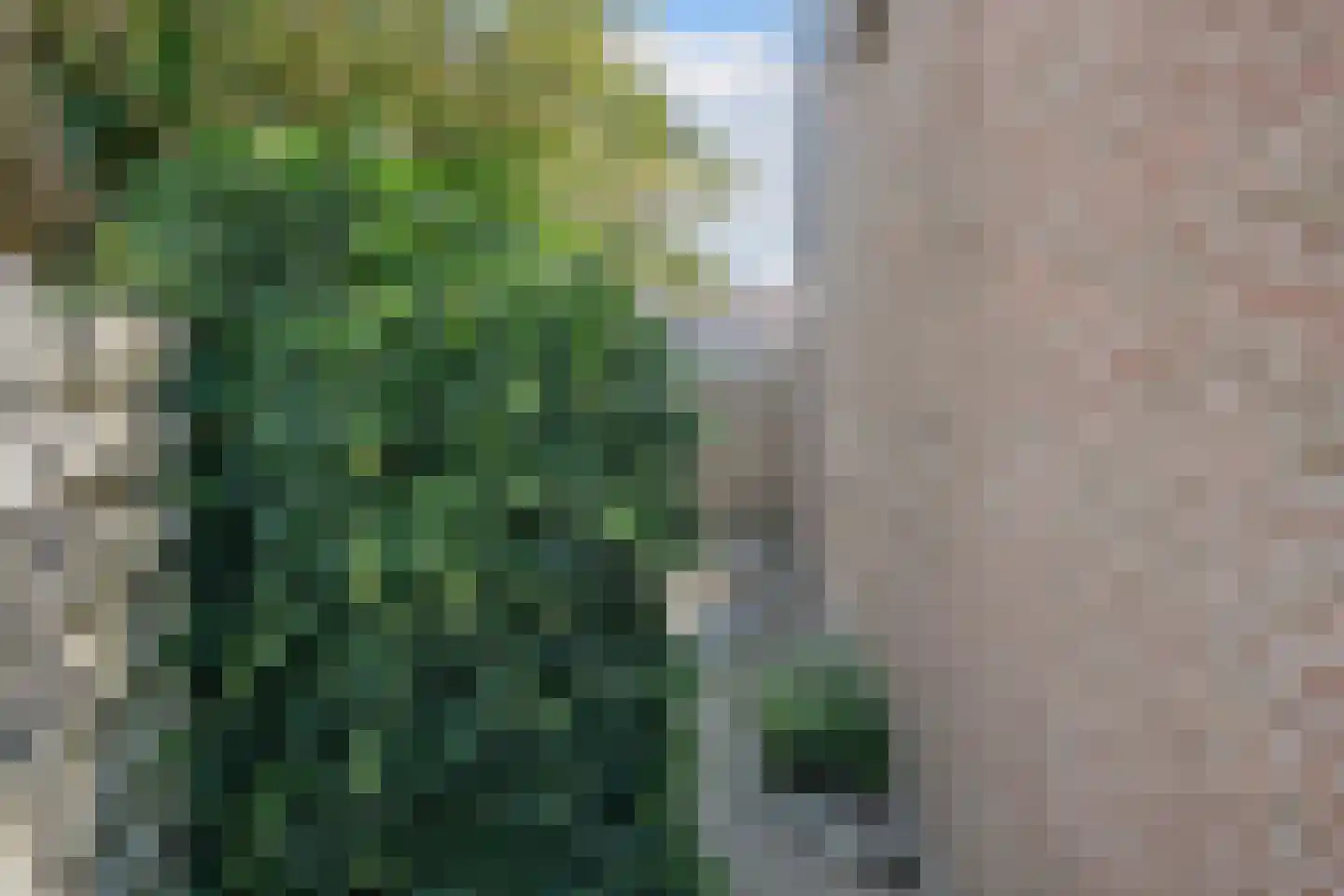 G.H.A.de Zeeuwstraat 19 Alkmaar thumbnail 47