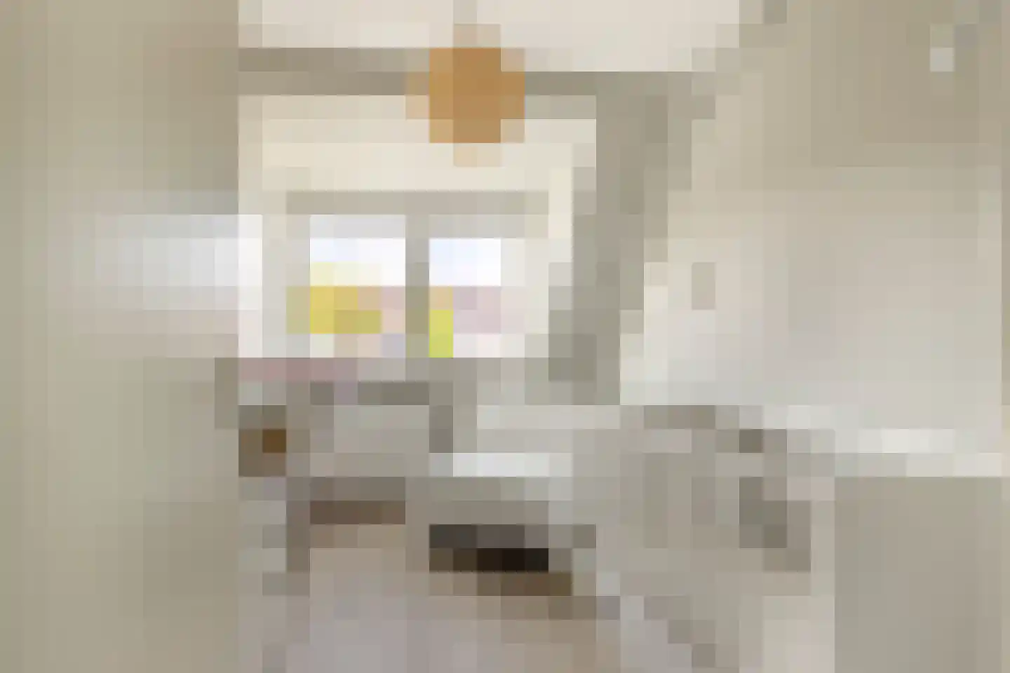 G.H.A.de Zeeuwstraat 4 Alkmaar thumbnail 10