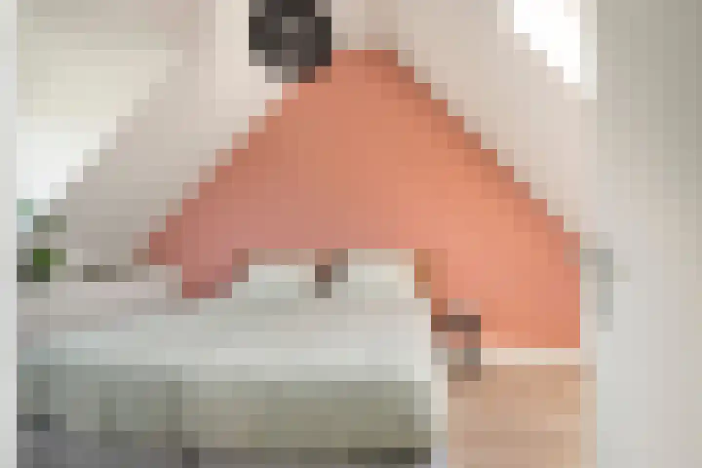G.H.A.de Zeeuwstraat 4 Alkmaar thumbnail 18