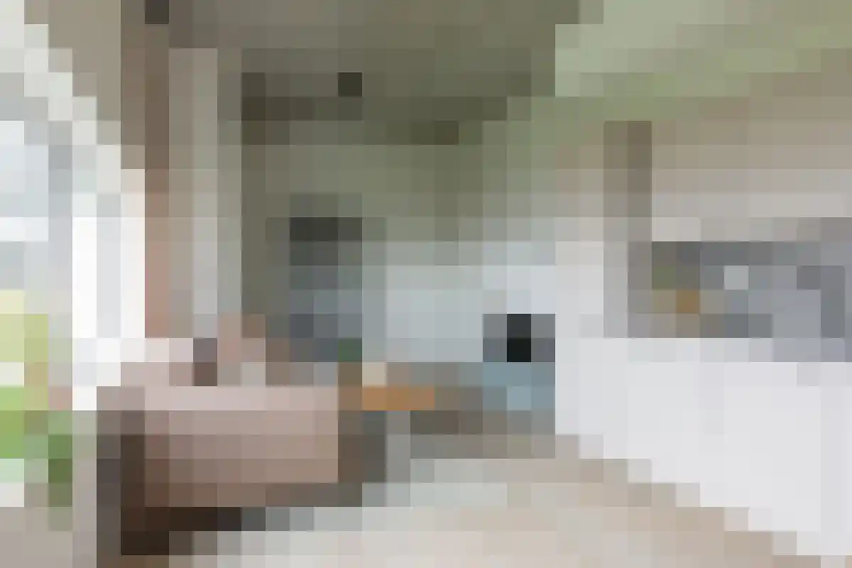 G.H. Betzweg 219 Rotterdam thumbnail 6