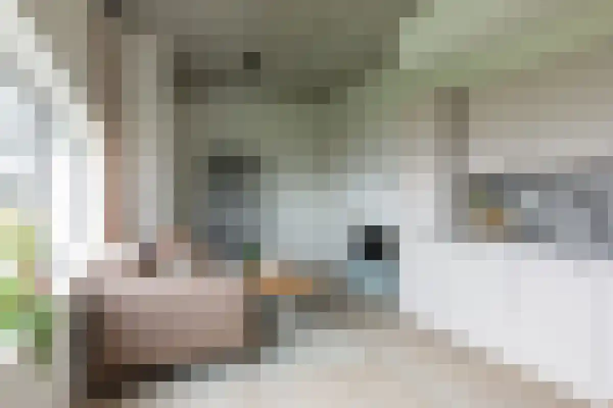 G.H. Betzweg Rotterdam thumbnail 5