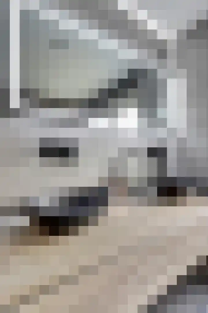 G.H. Breitnerpad 12 Spijkenisse thumbnail 13