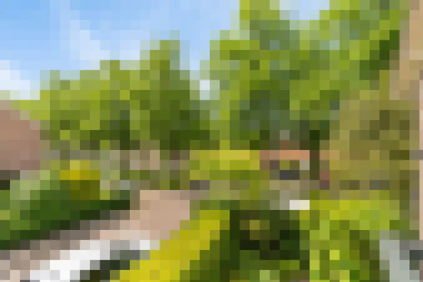 G.H.Breitnerstraat 16 Weesp thumbnail 31