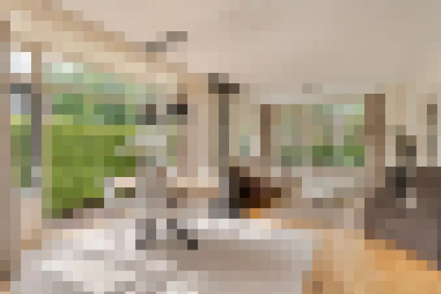 G.H.Breitnerstraat 16 Weesp thumbnail 5